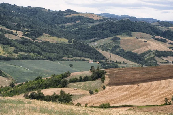 Letní krajina údolí Panaro (Modena) — Stock fotografie