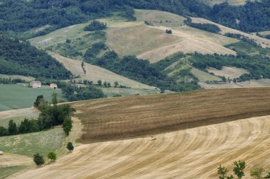 Yaz manzara Panaro Vadisi (Modena)