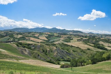 Rivalta di Lesignano (Parma, Italy): summer landscape