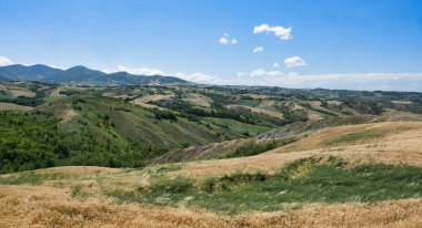 Rivalta di Lesignano (Parma, Italy): summer landscape