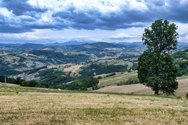 Letní krajina u Serramazzoni (Modena, Itálie) — Stock fotografie