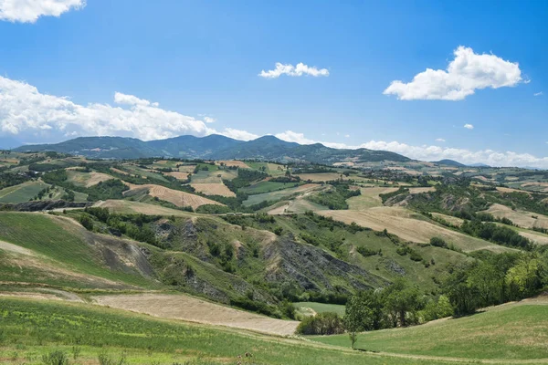 Rivalta di Lesignano (Parma, Italia): paesaggio estivo — Foto Stock