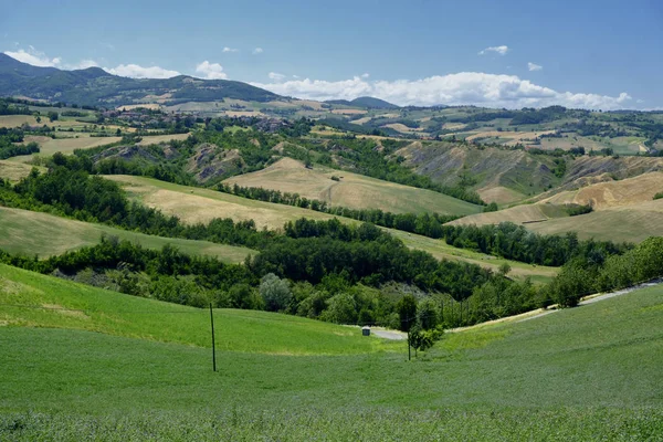 Rivalta di Lesignano (Parma, Italy): summer landscape