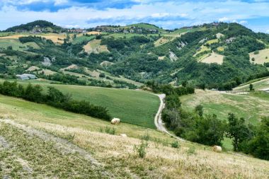 Yaz manzara yakınındaki SERRAMAZZONI (Modena, İtalya)