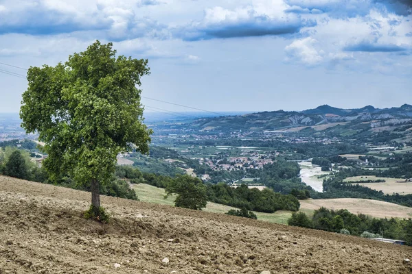Yaz manzara Panaro Vadisi (Modena)