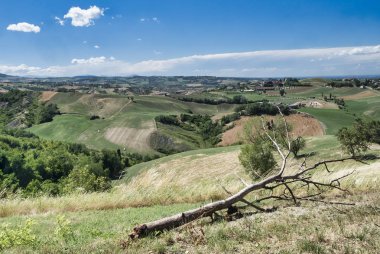 Rivalta di Lesignano (Parma, Italy): summer landscape