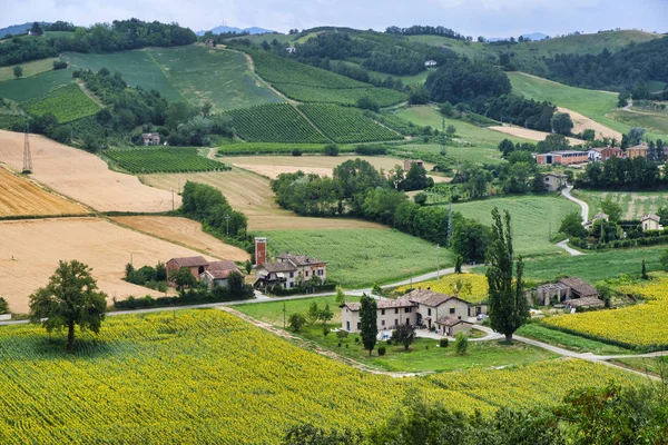 アルクアート城を中心 (ピアチェンツァ、イタリアからの国の風景) — ストック写真