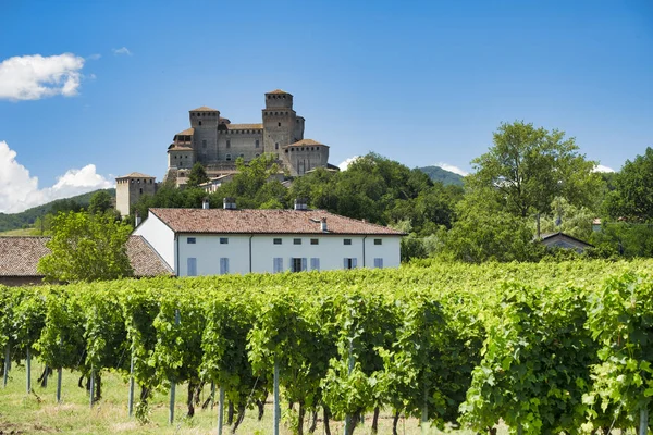 Slottet av Torrechiara (Italien) och vingård — Stockfoto