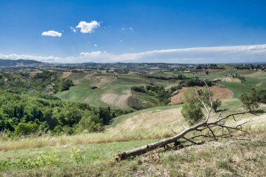 Rivalta di Lesignano (Parma, Italy): summer landscape