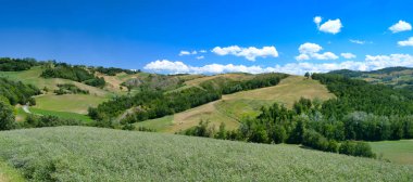 Rivalta di Lesignano (Parma, Italy): summer landscape