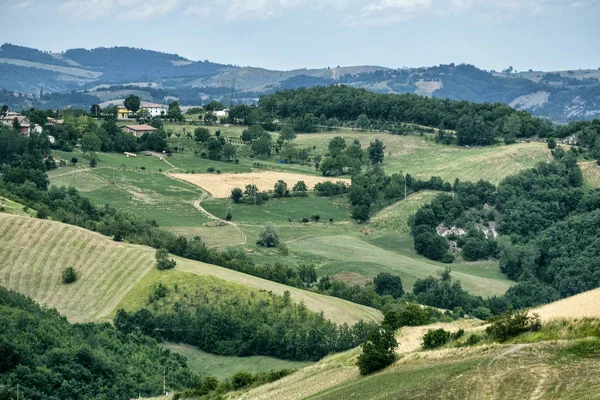 Yaz manzara yakınındaki SERRAMAZZONI (Modena, İtalya)