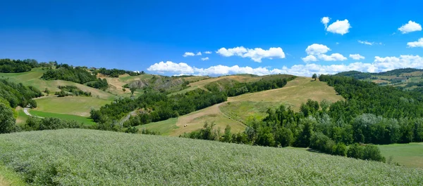 Rivalta di Lesignano (Parma, Italy): summer landscape