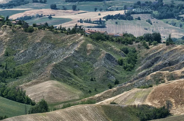 Rivalta di Lesignano (Parma, Italy): summer landscape — Stock Photo, Image