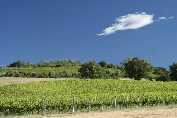 Paesaggio tra Imola e Riolo Terme (Emilia Romagna ) — Foto Stock