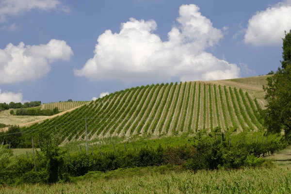 Paisagem de verão em Romagna (Itália ) — Fotografia de Stock