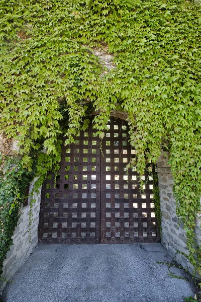 Borgo Fregnano (Romagna, İtalya)