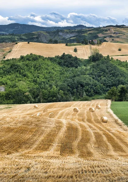 Yaz peyzaj Guiglia ve Bologna arasında