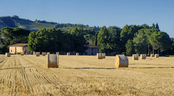 Landscape between Riolo Terme and Brisighella (Emilia Romagna) — Stock Photo, Image