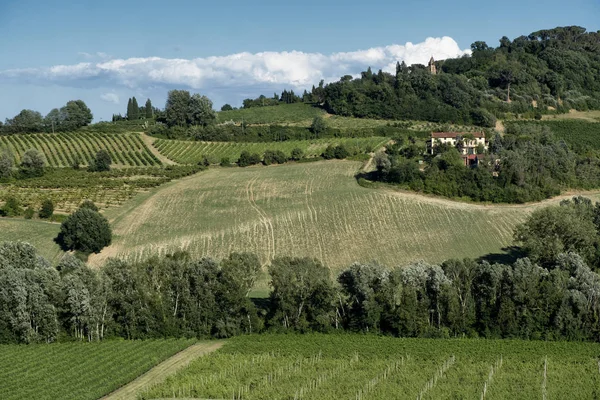 Landskapet mellan Imola och Riolo Terme (Emilia-Romagna) Stockfoto