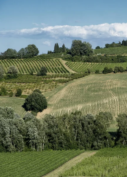 Paesaggio tra Imola e Riolo Terme (Emilia Romagna ) — Foto Stock