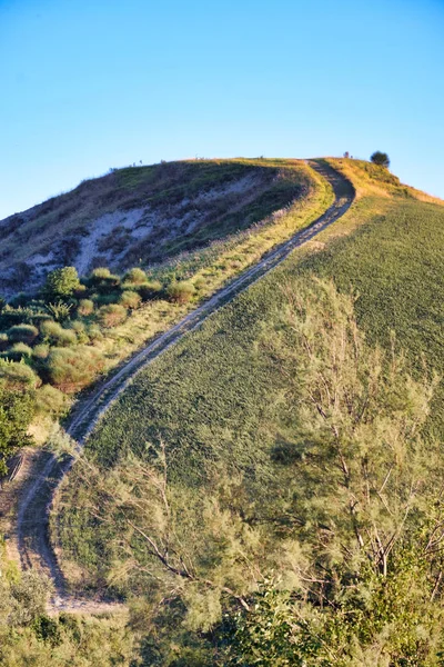 Riolo Terme ve Brisighella (Emilia Romagna arasında peyzaj)