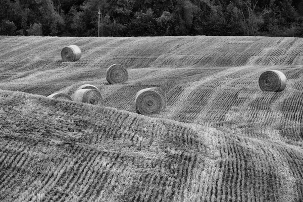 Paisagem de verão entre Guiglia e Bolonha — Fotografia de Stock