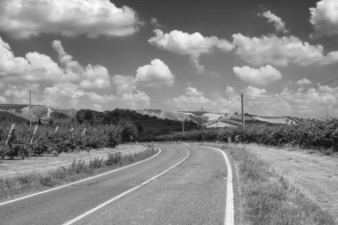 Yaz manzara Romagna bölgesindeki (İtalya)