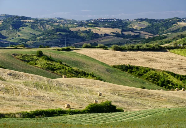 Landskap i Romagna på sommaren: fält — Stockfoto