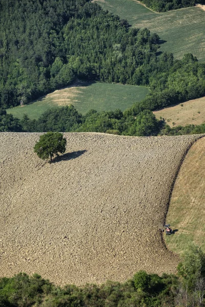 Landscape in Montefeltro near Urbania (Marches, Italy) — Stock Photo, Image