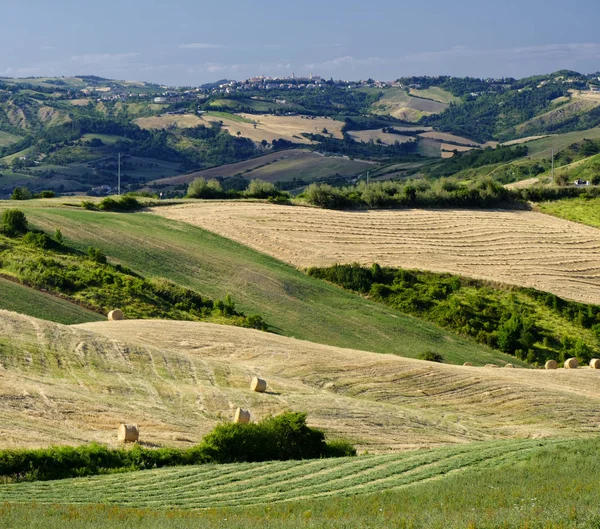 Landskap i Romagna på sommaren: fält — Stockfoto