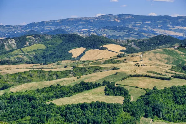 Paesaggio in Romagna d'estate da Sogliano al Rubicone — Foto Stock