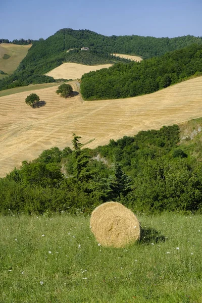 Paisaje en Montefeltro cerca de Urbania (Marcas, Italia ) — Foto de Stock