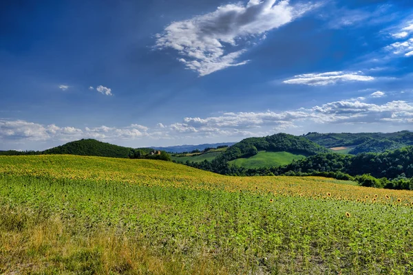 Krajina v Montefeltro poblíž Urbania (pochody, Itálie) — Stock fotografie