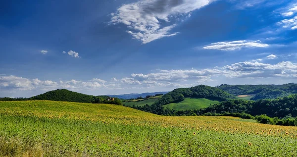 Paisaje en Montefeltro cerca de Urbania (Marcas, Italia ) —  Fotos de Stock