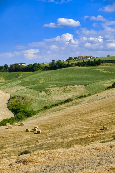 Landskap i Romagna på sommaren: fält — Stockfoto