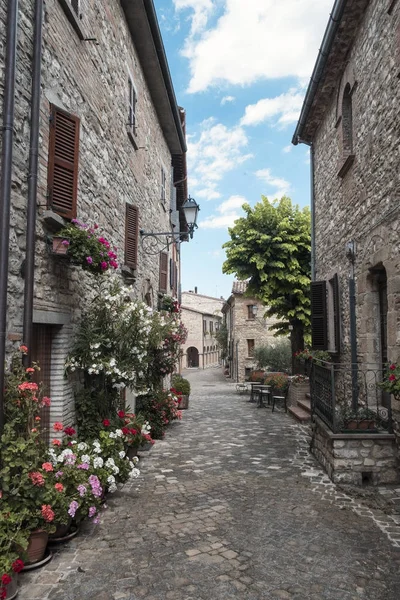 メガネグマ、モンテフェルトロ (行進、イタリアの古い村) — ストック写真