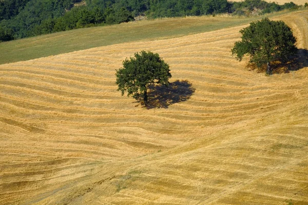 Krajobraz w Montefeltro w pobliżu Urbania (marsze, Włochy) — Zdjęcie stockowe