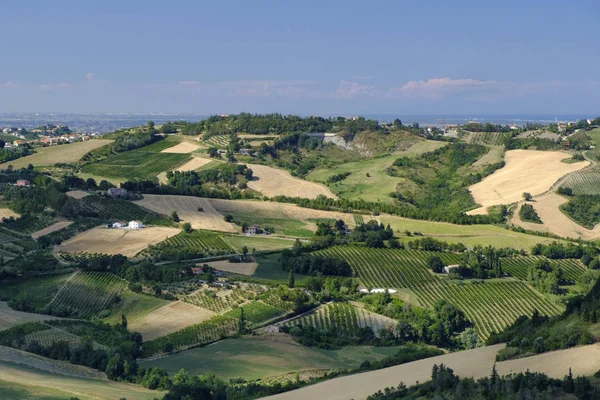 Landscape in Romagna at summer from Sogliano al Rubicone — Stock Photo, Image