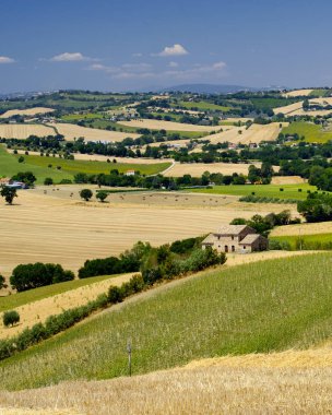 Yürüyüşleri (İtalya) Ostra yakınındaki yaz peyzaj