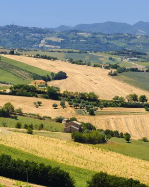 Yürüyüşleri (İtalya) Ostra yakınındaki yaz peyzaj