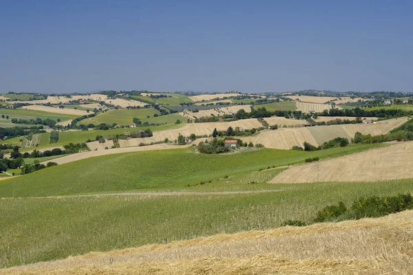 Summer landscape in Marches (Italy) near Ostra — Stock Photo, Image