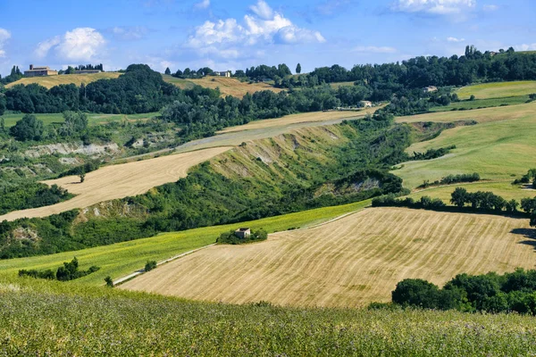 フォッソンブロネ近く行進夏の風景 — ストック写真