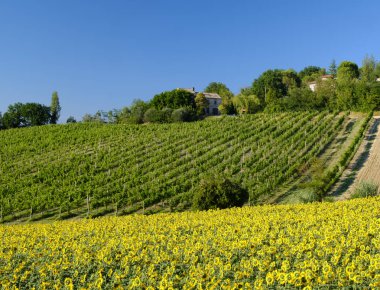 Corinaldo yakınındaki yürüyüşleri manzarada yaz