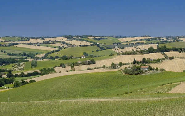 Krajobraz lato w Marche (Włochy) w pobliżu Ostra — Zdjęcie stockowe