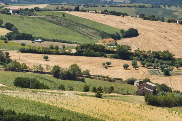 Paesaggio estivo nelle Marche (Italia) vicino Ostra — Foto Stock