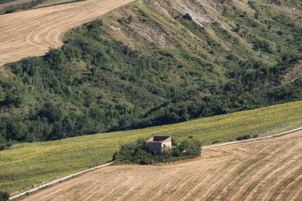 Paesaggio estivo nelle Marche vicino a Fossombrone — Foto Stock
