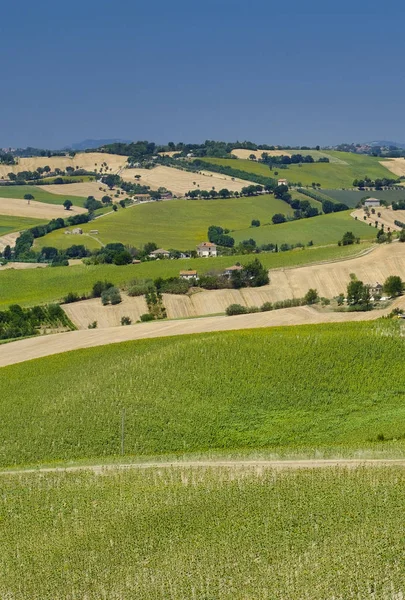 Sommarlandskap i marscher (Italien) nära Ostra — Stockfoto