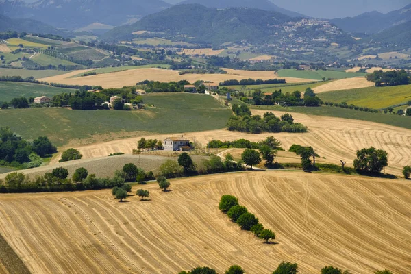 Sommarlandskap i marscher (Italien) nära Ostra — Stockfoto