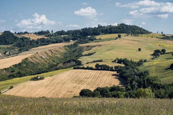 Paisaje de verano en Marcas cerca de Fossombrone —  Fotos de Stock