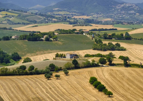 Sommarlandskap i marscher (Italien) nära Ostra — Stockfoto